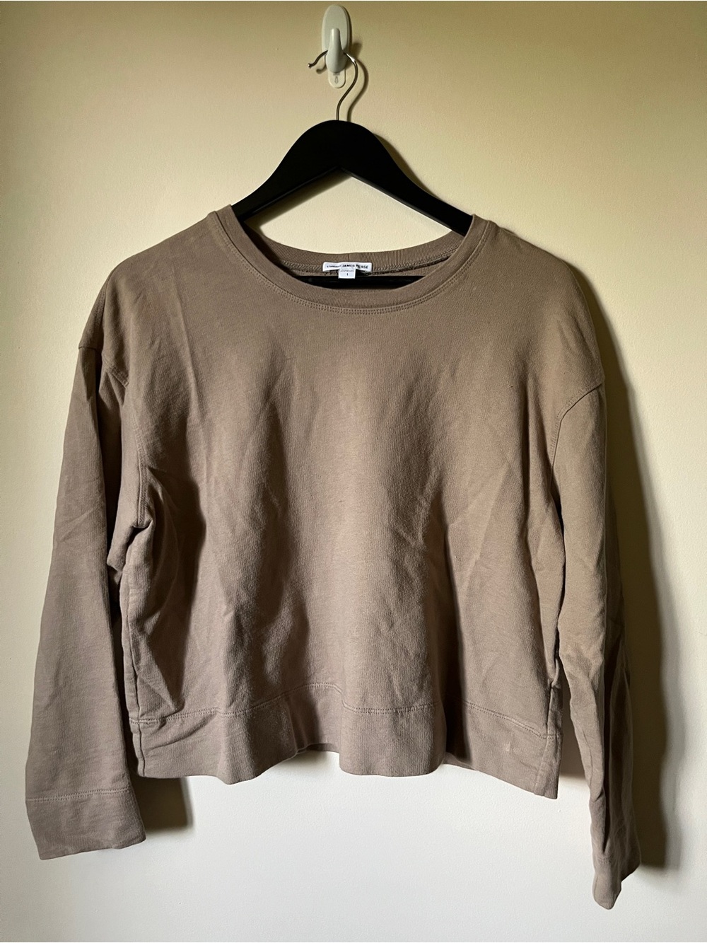 James Perse Boxy Crewneck Sweatshirt in Taupe